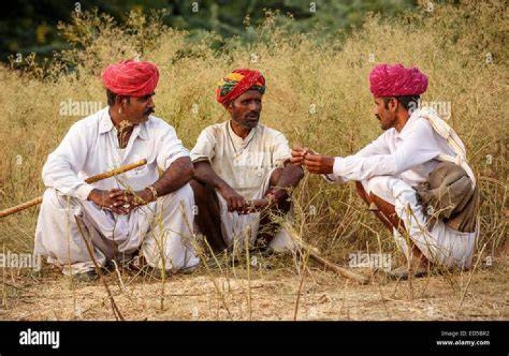 Are Rajput farmers?