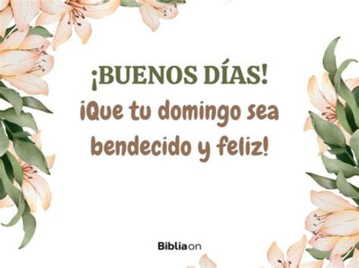 Discover The Power Of "Feliz Domingo Dios Te Bendiga" For A Blessed Sunday