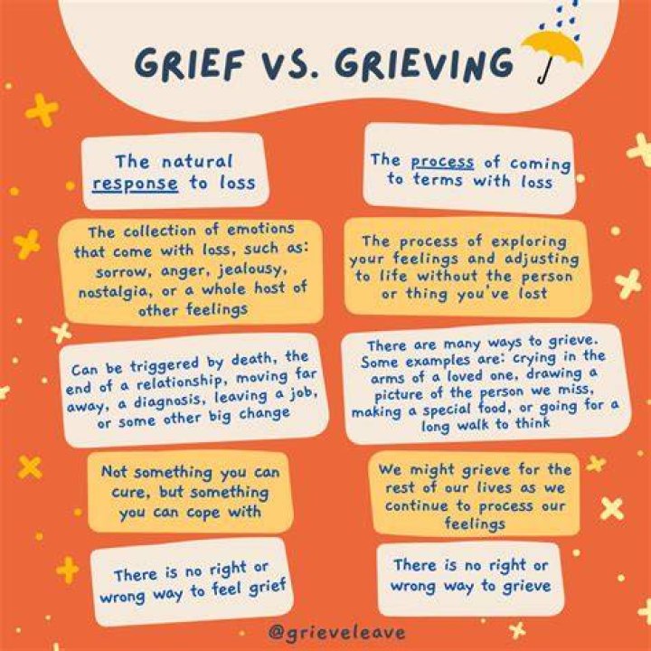 Do ducks feel grief?