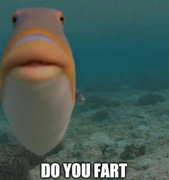 Do you know what a fart is?