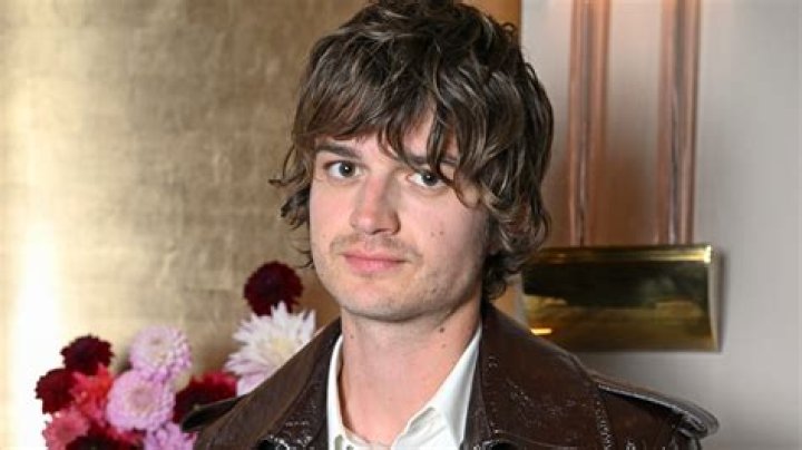 Does Joe Keery Have Kids? Uncovering The Truth