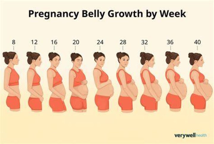 Does small belly means small baby?