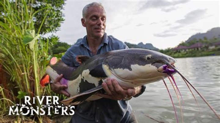 Encyclopedia Of Jeremy Wade: The Angler's Guide To The Extreme