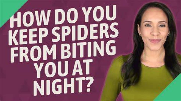 How do you stop spiders from biting you at night?