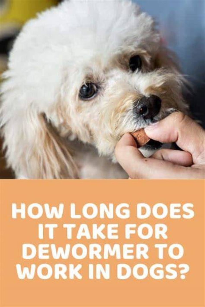 How long does it take for Dewormer to work in humans?