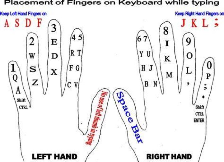 How many fingers are used in typing?