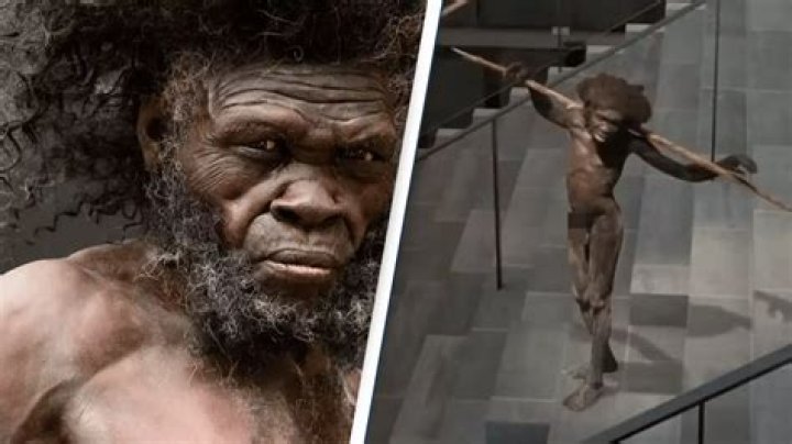 How was first human created?