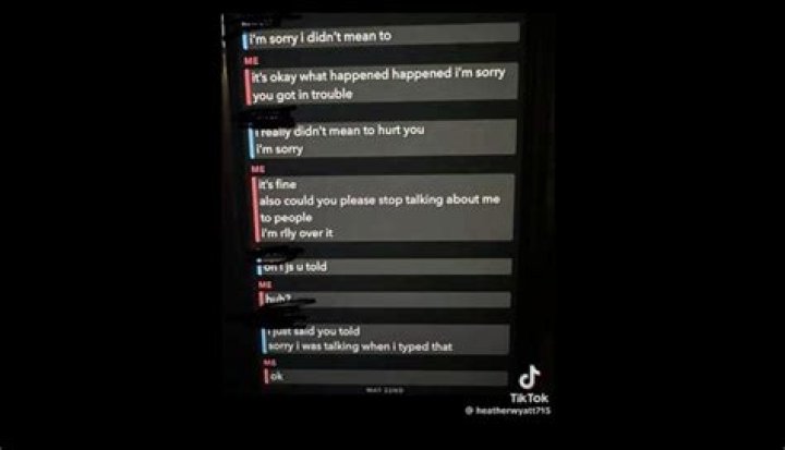 Identifying The Individuals Involved In The Bullying Of Aubreigh Wyatt