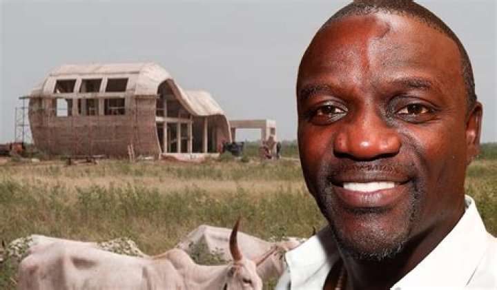 Is Akon Still Making Hits? The Truth Revealed