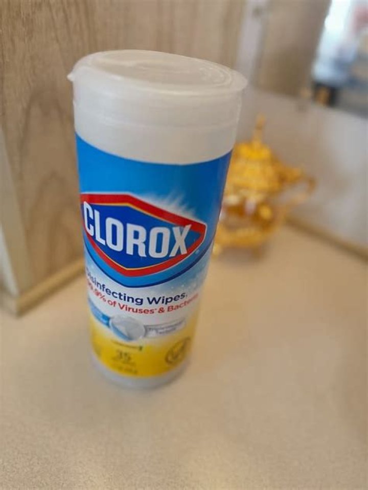 Is it safe to put Clorox in dishwater?