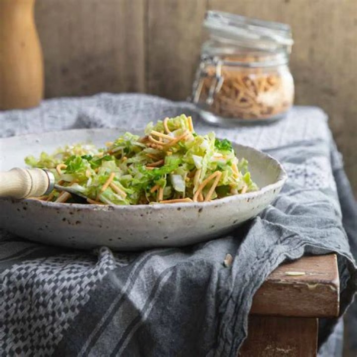 Noodle Magazine: Your Source For Noodle-y Goodness