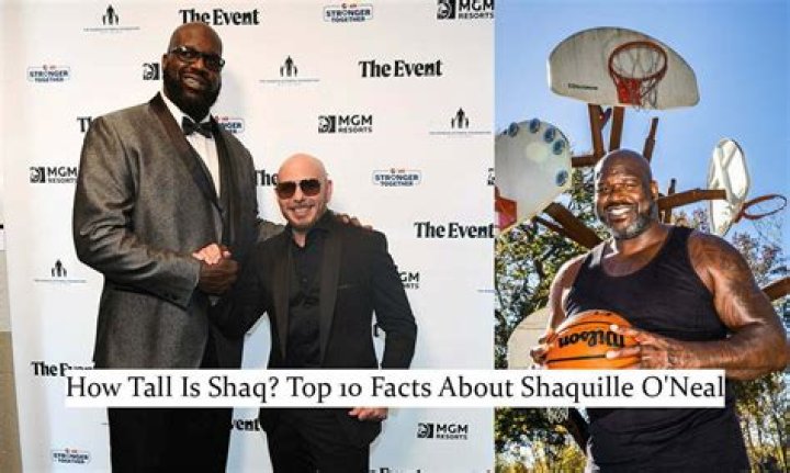 The Fascinating Height Of Shaq