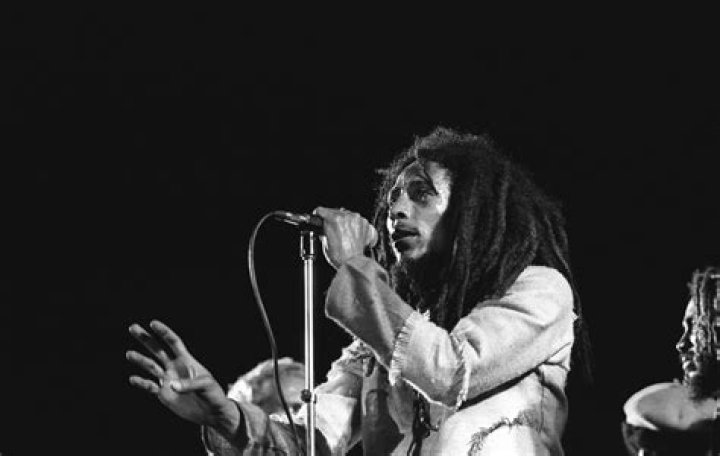 The Reggae Royalty: Damian Marley's Impact On Music