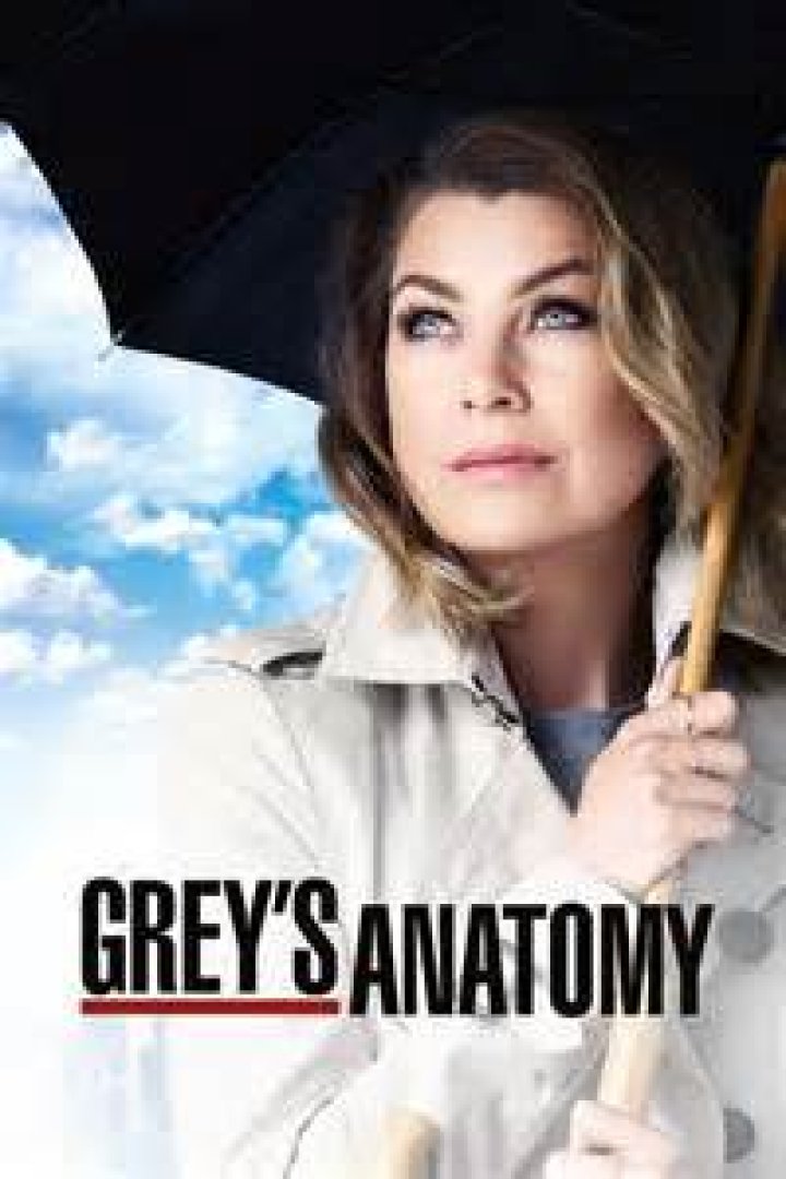 Uncovering The Number Of Seasons In Grey's Anatomy