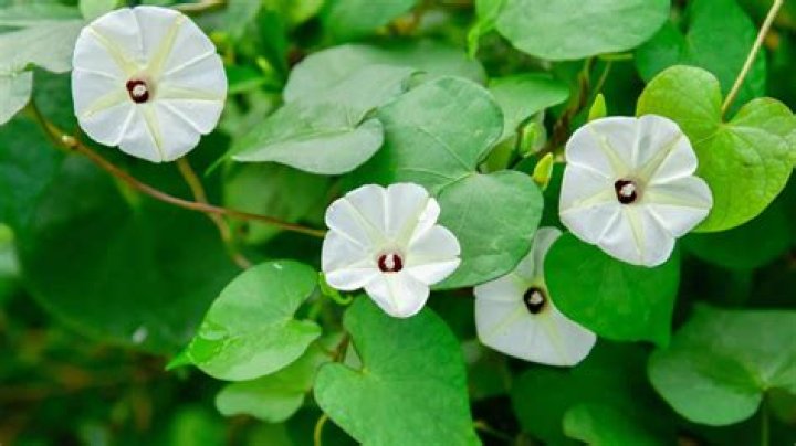 Unveiling Angelina Jolie's Love Life: A Comprehensive Guide