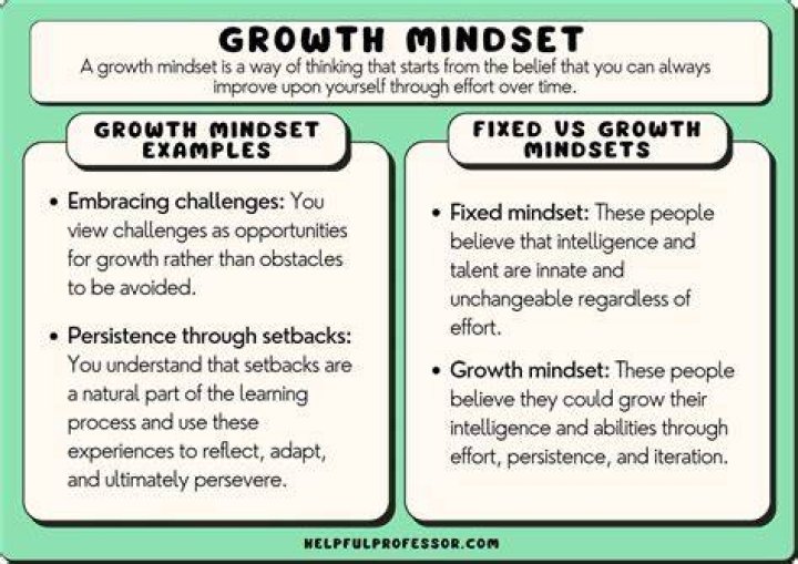 What are 3 examples of a growth mindset?
