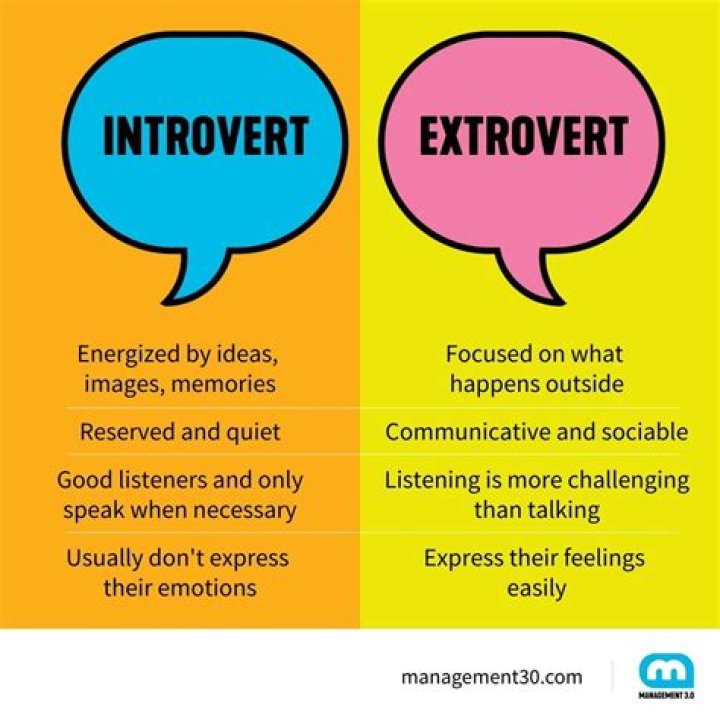 What are introvert good at?
