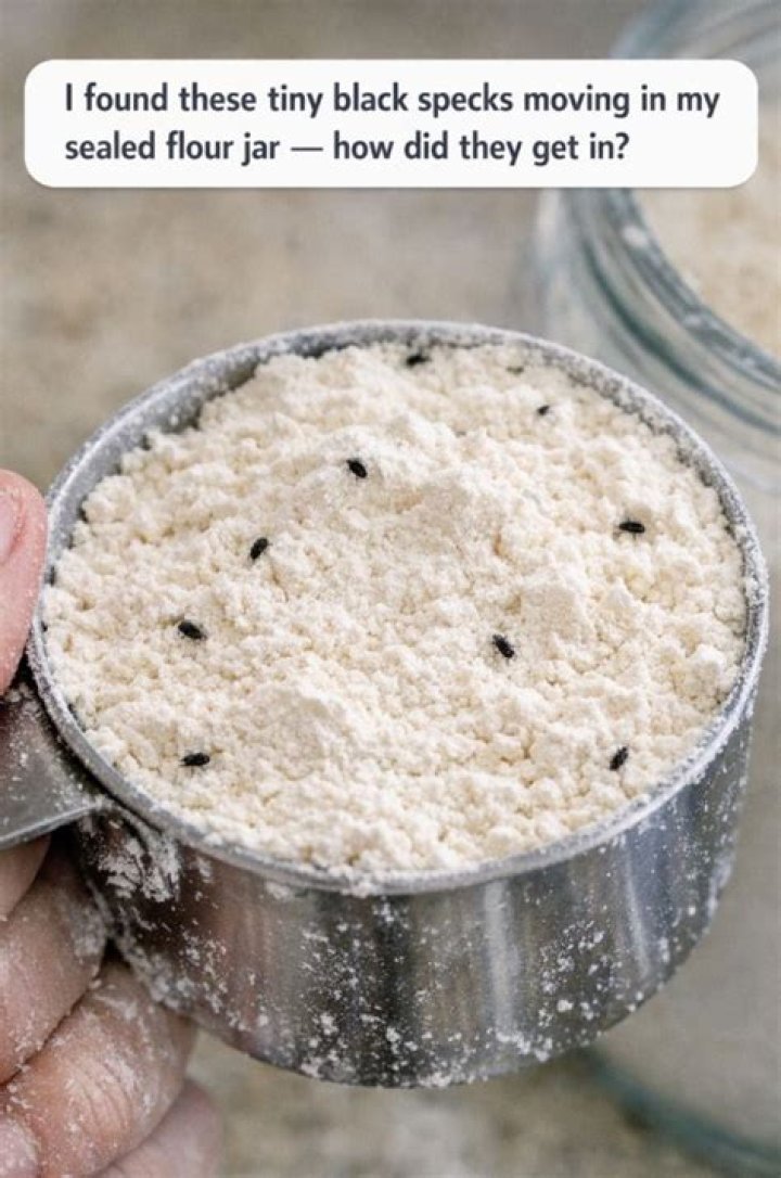 What are the black specks in my flour?