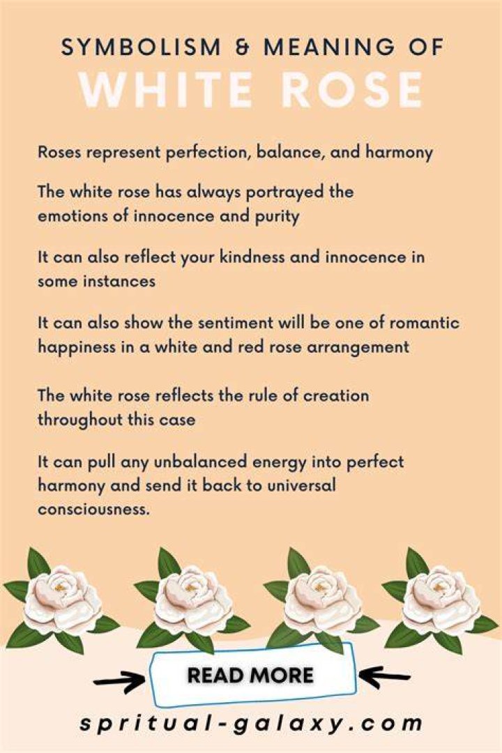 What do white roses mean in a relationship?
