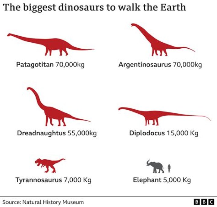 What is the biggest dinosaur?