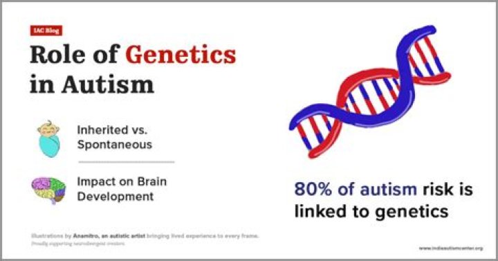 What is the most likely culprit for autism genetics or environment?
