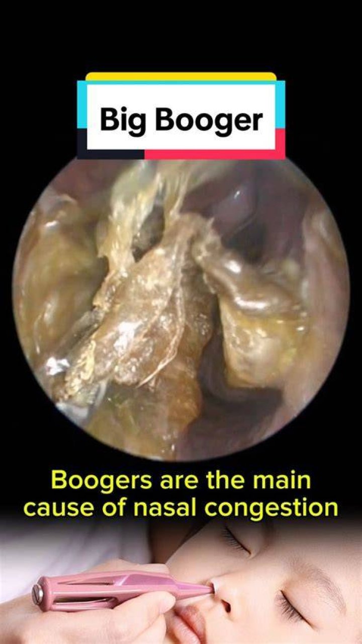 What is the Spanish word for boogers?