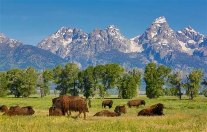 What is Wyoming known for?