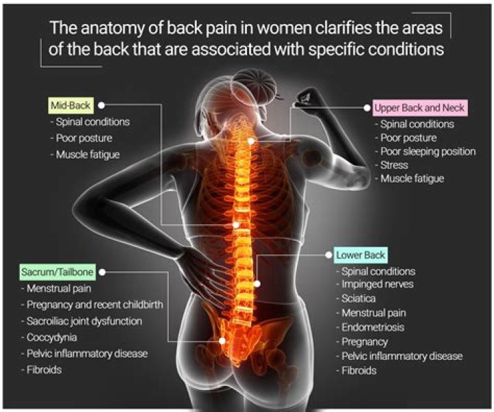 What parasites cause back pain?