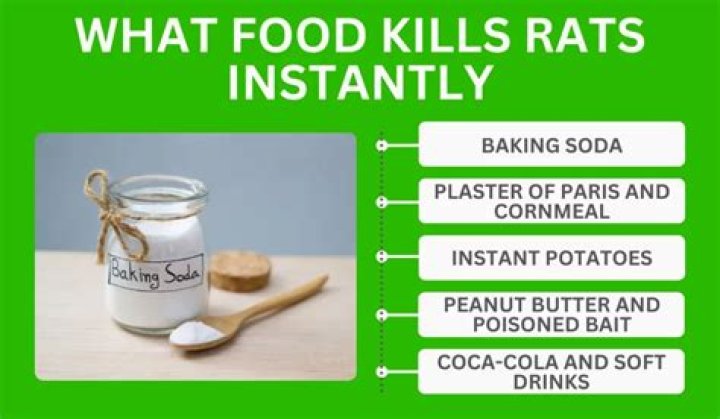What smell kills rats instantly?