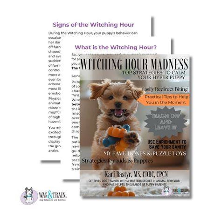 What to do during dogs witching hours?
