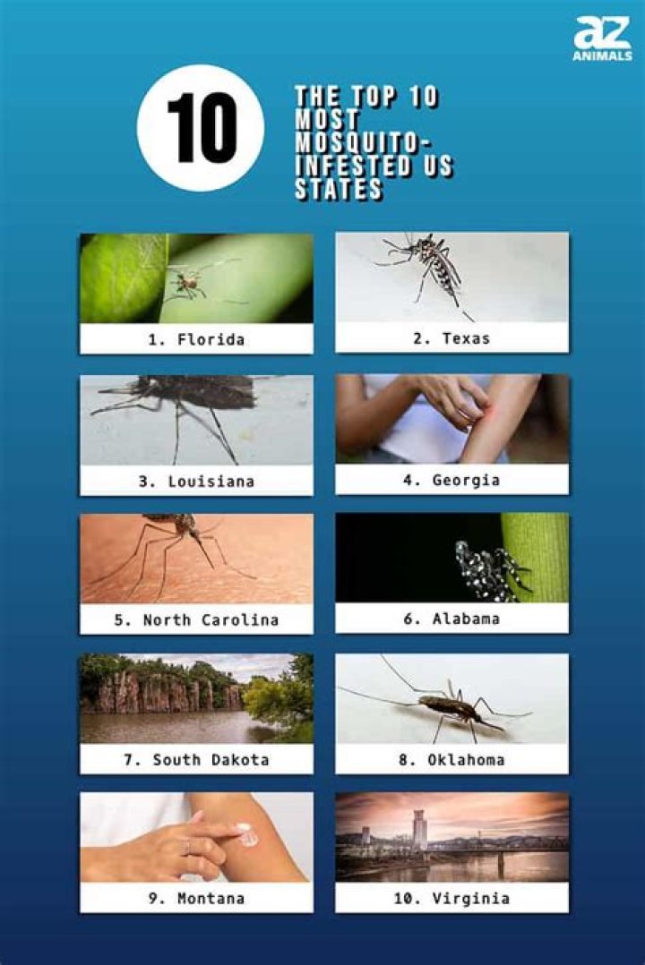 Which US state has the most mosquitoes?