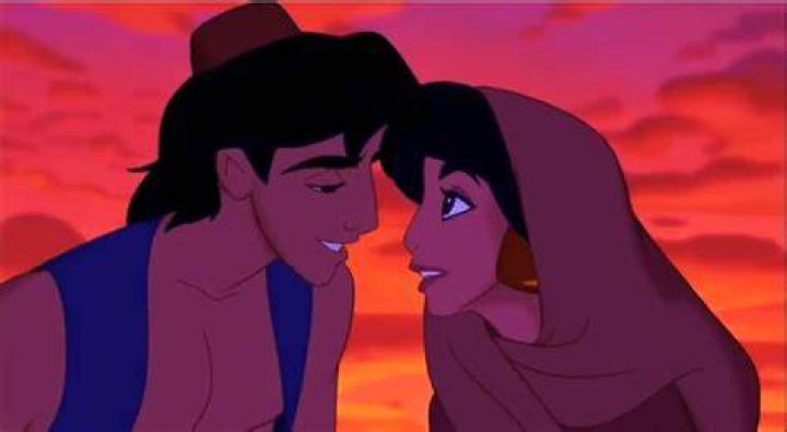Who does Aladdin fall in love with?