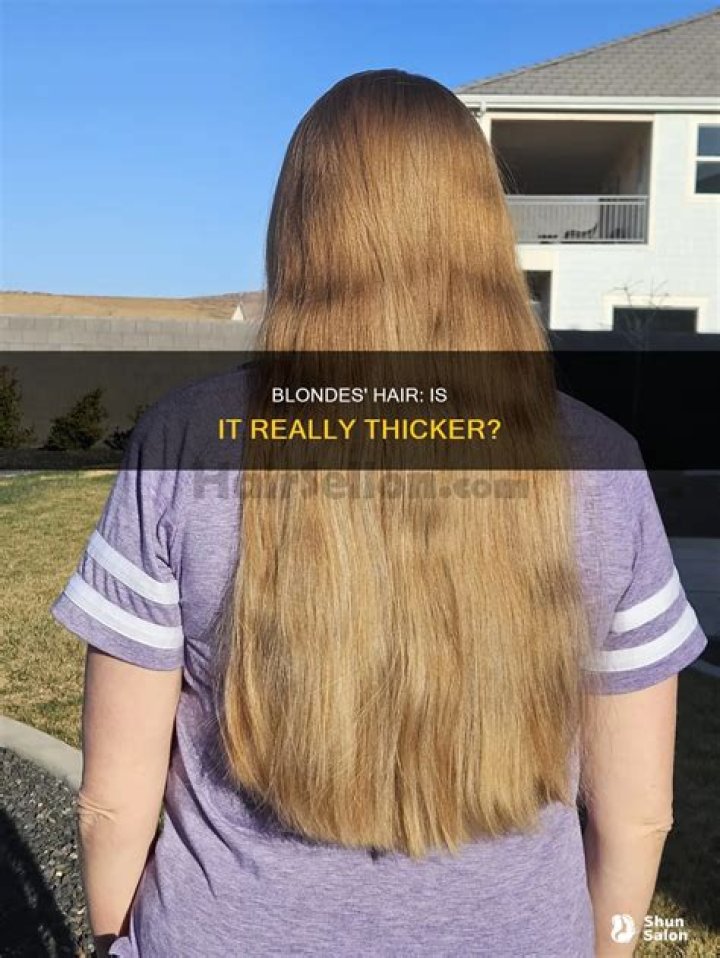 Who has thicker hair blondes or brunettes?