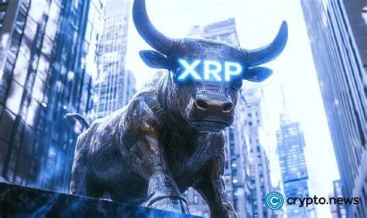 Who owns most of XRP?