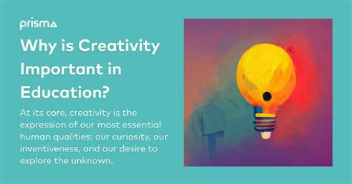 Why creativity should not be taught in schools?
