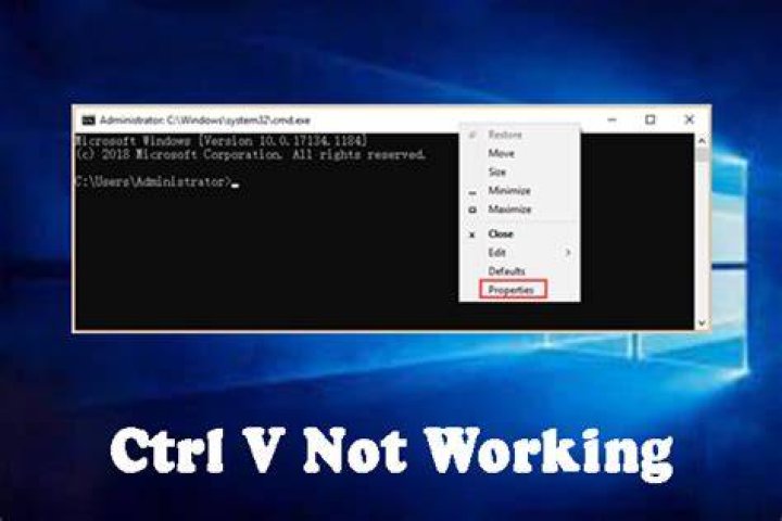 Why Ctrl V is not working?