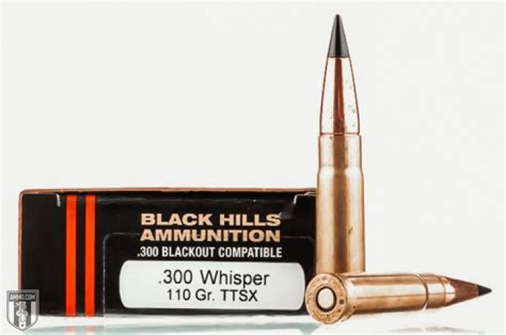 Why is 300 Blackout popular?