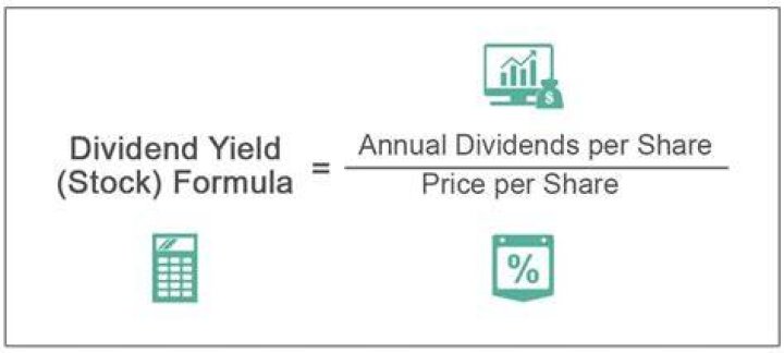 Will zoom pay a dividend?